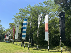 S__2097180.jpg
