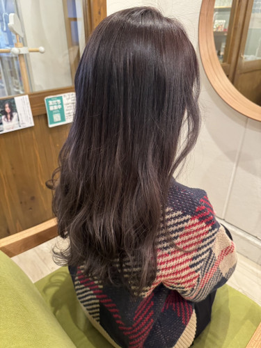 1705099288111.jpg