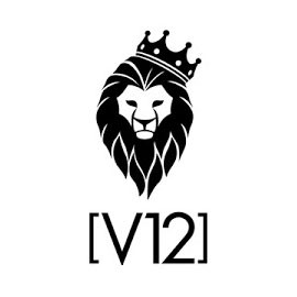 【V12】新作が追加入荷！