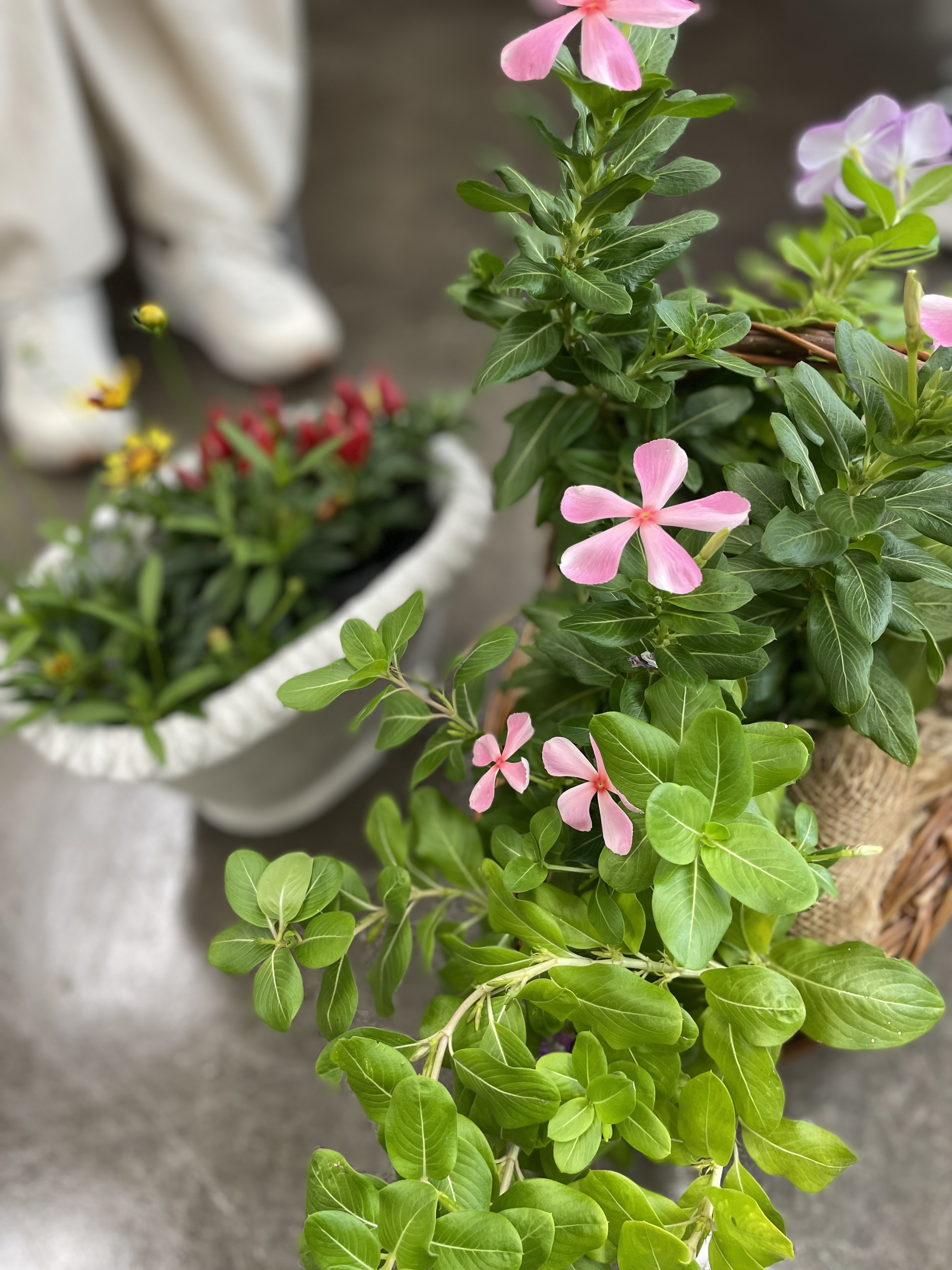 お花といっしょにここにいる”今ここ会”