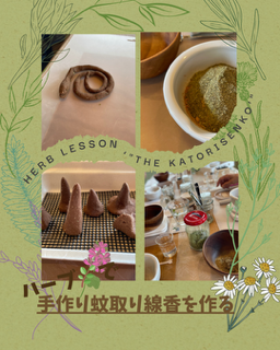 蚊取り線香作り講座.PNG