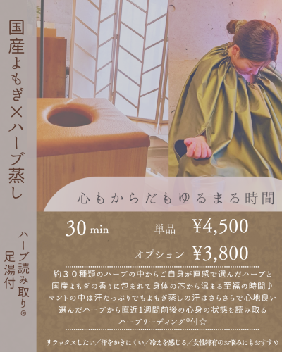 メニューのご案内【3】