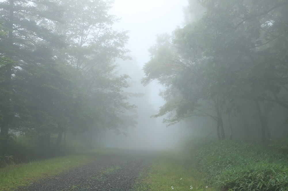 初夏の清里