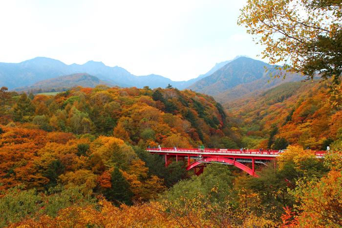 赤い橋の紅葉