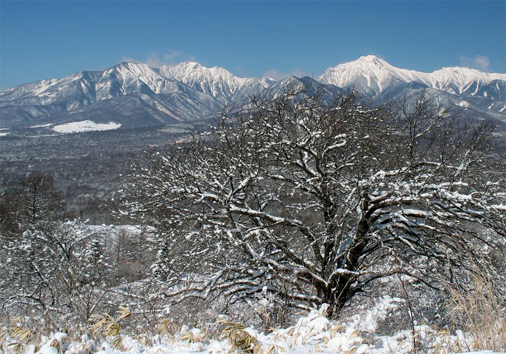 平沢峠1.jpg