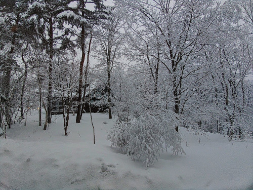 雪景色2024-3-12-1.jpg