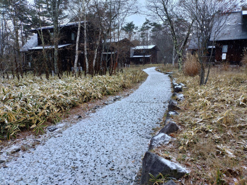 初雪2024-11-20-2.JPG