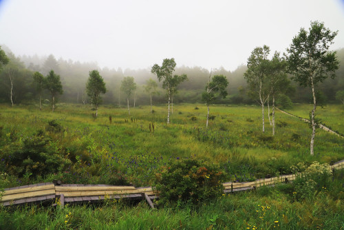 入笠湿原7.JPG