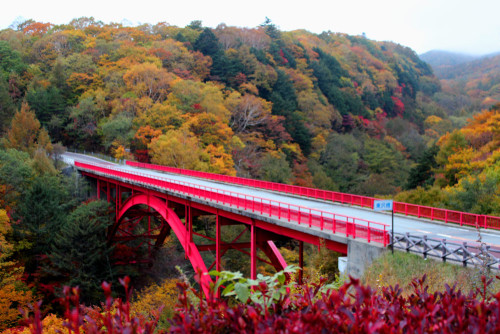 赤い橋.JPG