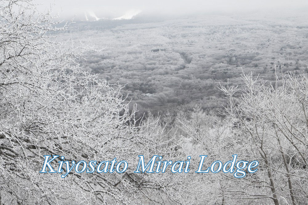 霧氷の朝の平沢峠からロッジを見下ろして