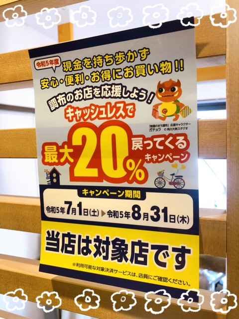 ペイペイキャンペーンについて