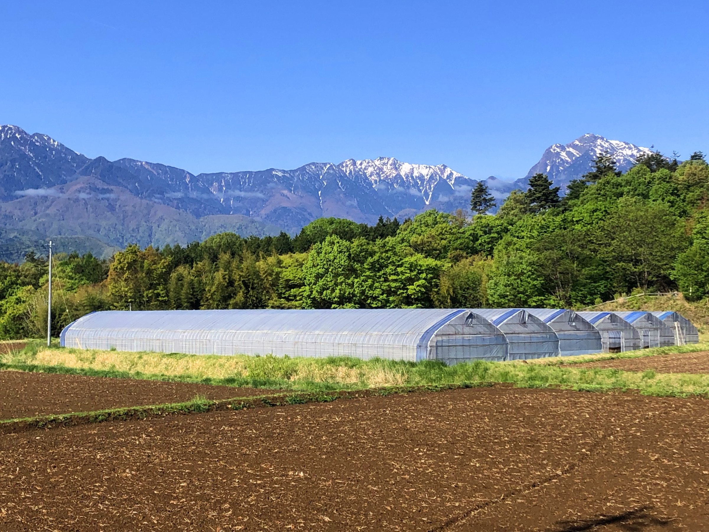 八ヶ岳藤田ファーム トマト 農家 北杜市