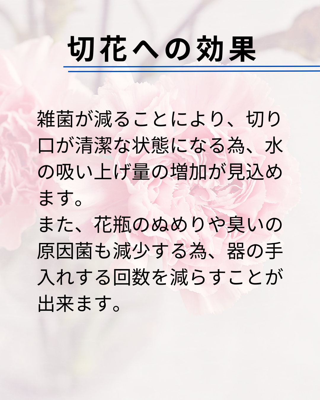 description of item silite シリット