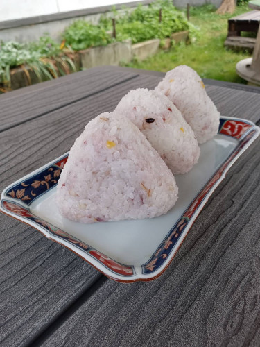 健康おにぎり