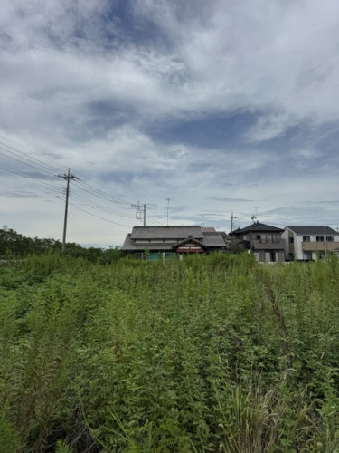 IMG_5349.jpeg