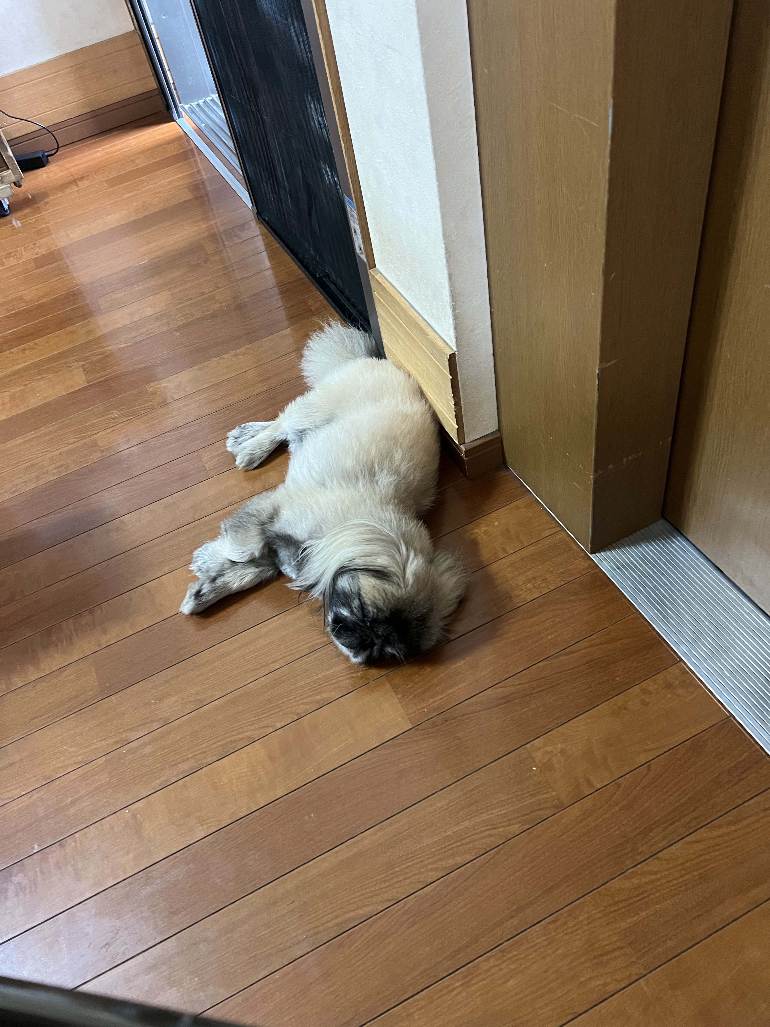 夏季休暇