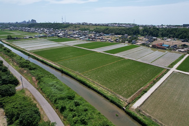 農地災害復旧工事にて田植え完了