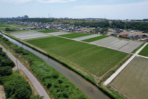 農地災害復旧工事　田植え完了