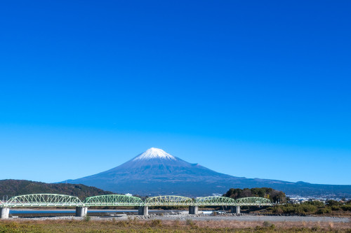 NIPPON