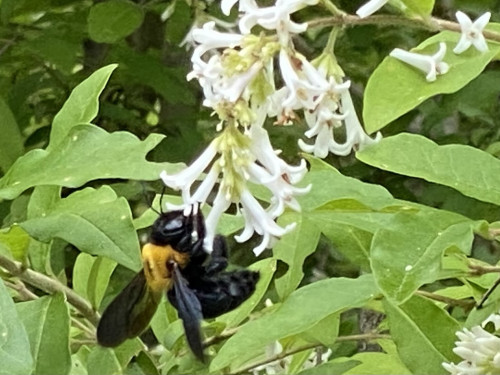 IMG_9634.jpeg