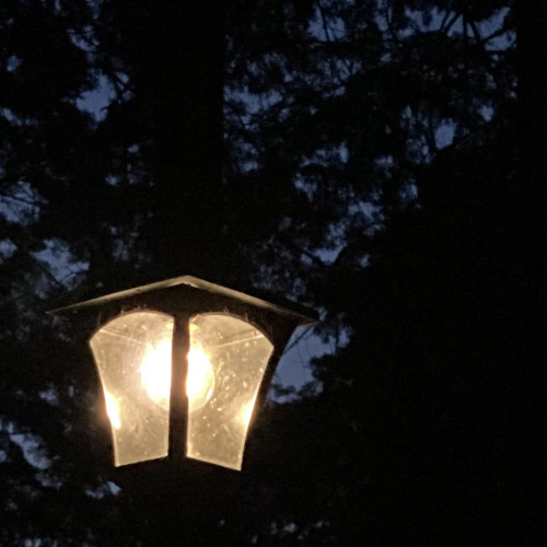 IMG_9451.jpeg