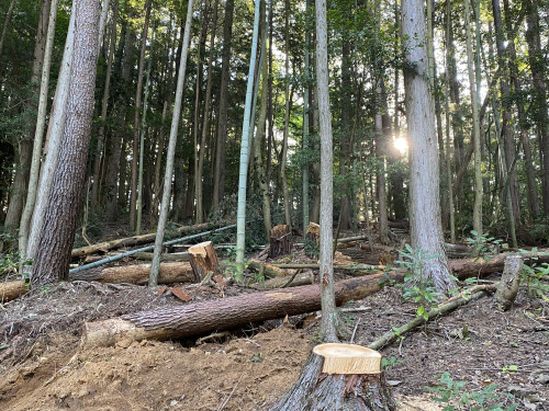 IMG_9995.jpeg