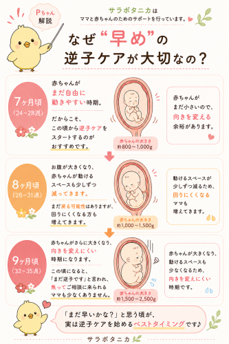 file_00000000fe6c720ba48c6c0ffaed9cb3.png