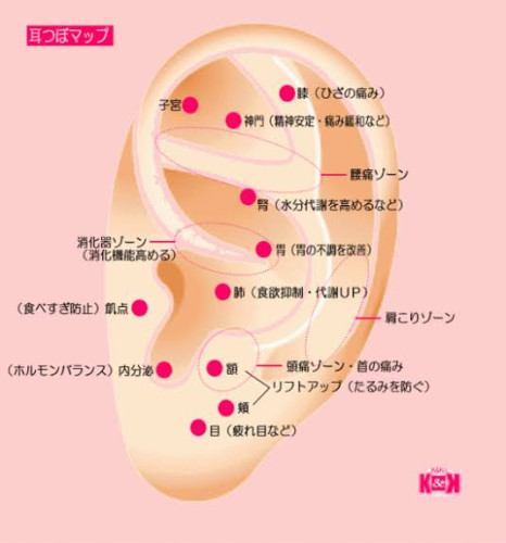 耳ツボ