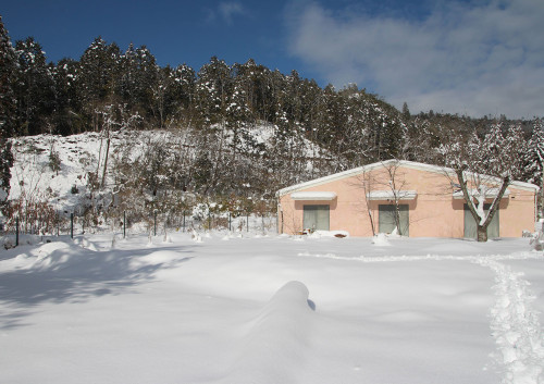 2023.01.26_建物南側から借景の山を望む_IMG_1655_s.jpg