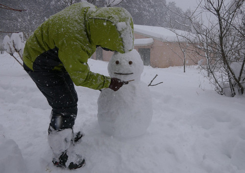 2026.02.08_大雪の中、ゆきだるまをつくる_P1430698雪ダルマ_s.jpg
