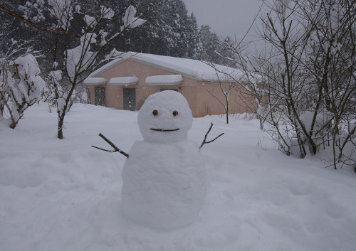 2026.02.08_大雪の中、雪だるま_P1430773_s.jpg