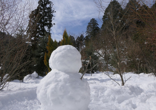 2026.02.10_雪だるまとガーデン_P1450114_s.jpg