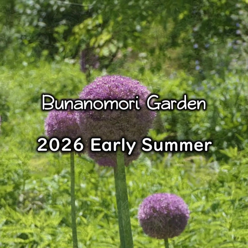 2026 early summer - frame at 0m1s.jpg