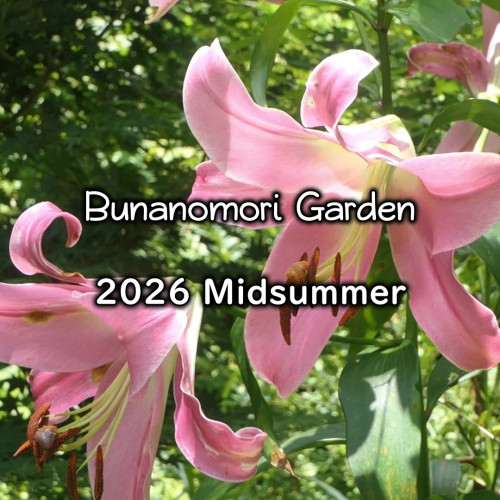 2026 midsummer - frame at 0m2s.jpg