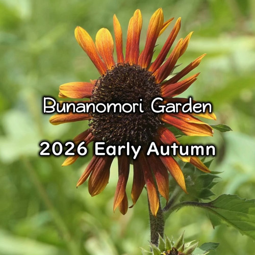 2026 early autumn - frame at 0m5s.jpg