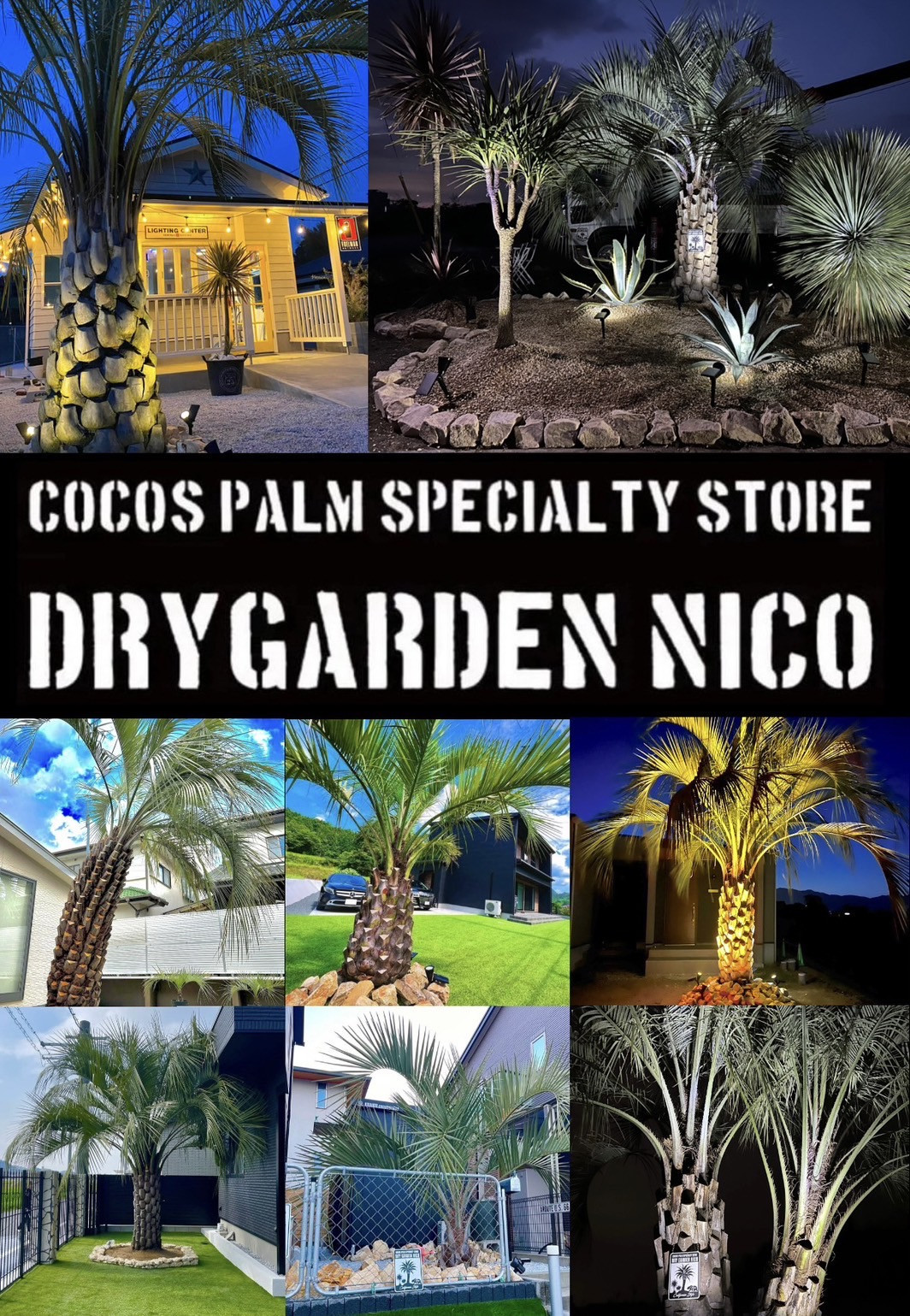 ココスヤシ専門販売店 DRYGARDEN Nico 福岡県久留米市田主丸町豊城1398-5