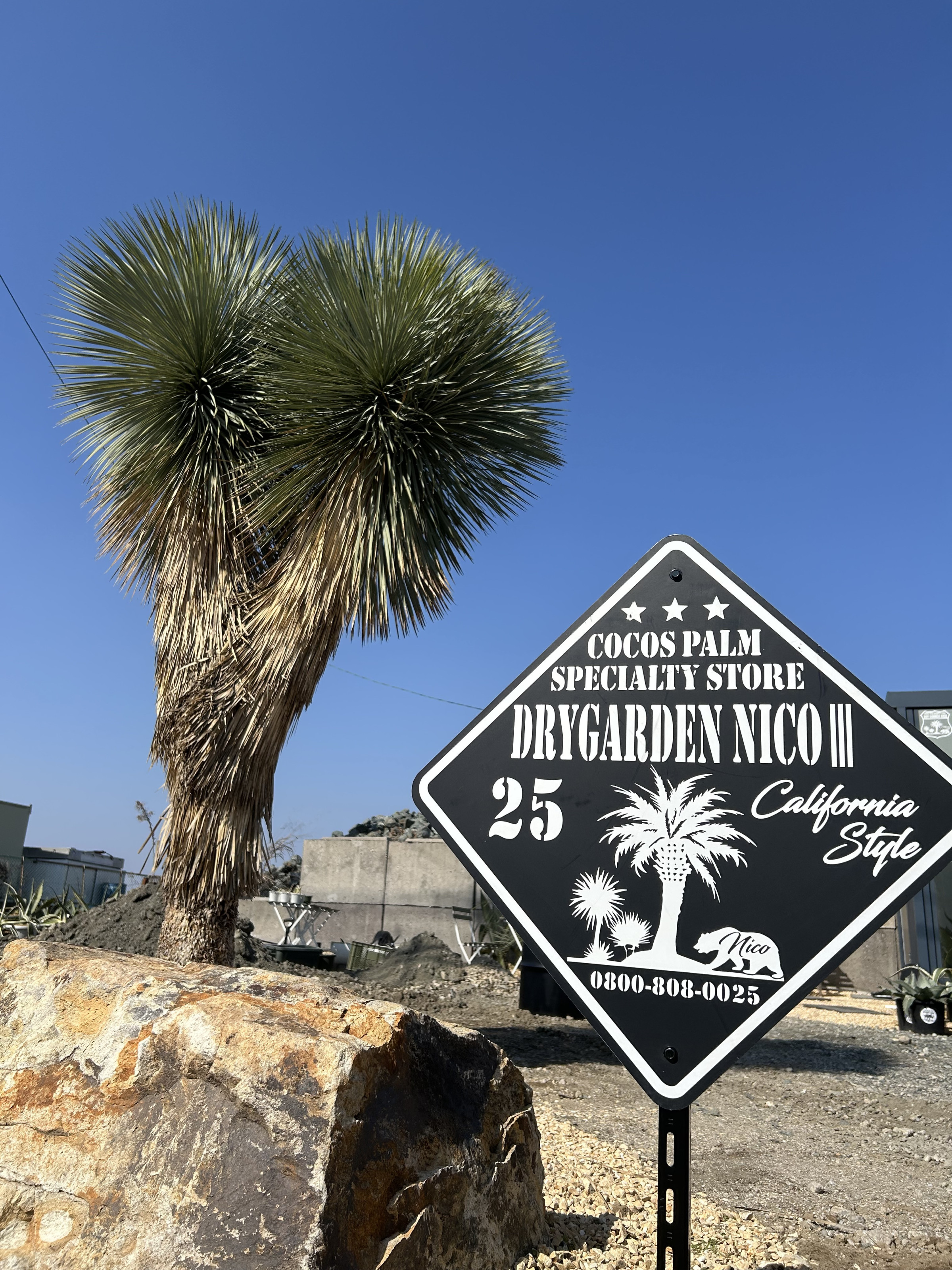 ココスヤシ専門販売店 DRYGARDEN Nico 福岡県久留米市田主丸町 ココスヤシ専門販売店 DRYGARDEN Nico 福岡県久留米市田主丸町