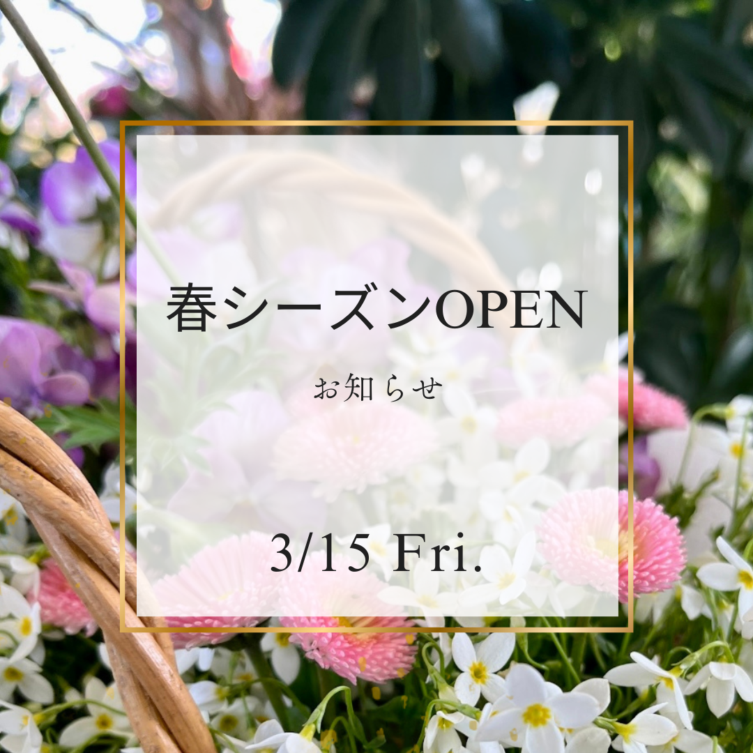 春シーズンOPENのお知らせ