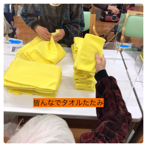 IMG_1429.jpeg
