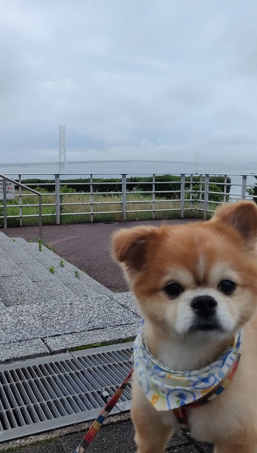 明石海峡大橋