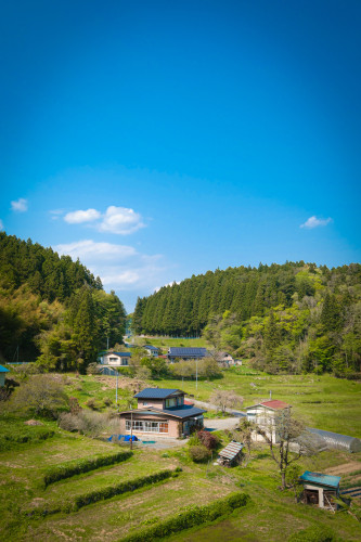 XT039850.jpg