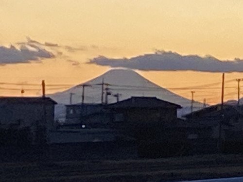 IMG_5895.jpeg