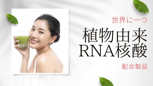 植物由来RAN核酸