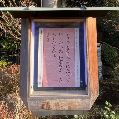 IMG_6532.jpeg