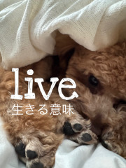 AC6259D1-0A93-425C-AEDB-5A2EA6F69250.jpeg