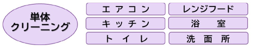 単体クリーニング 9001.png