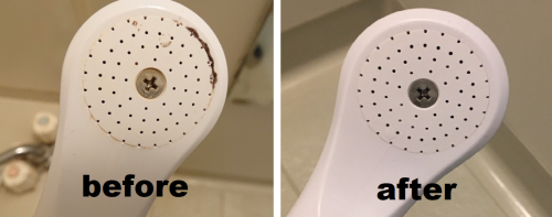 シャワーヘッド before after.png