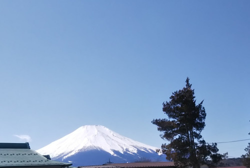 Mt. Fuji.jpg