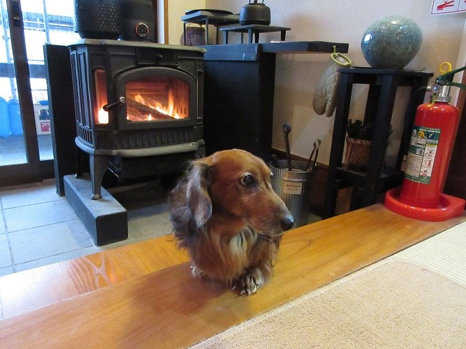 冬の玄関 　 マスターの手づくり薪で、ほっこり暖かな炎でお迎えいたします。ワンちゃん同伴宿可。☞つづく