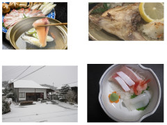 寒ブリ.JPG